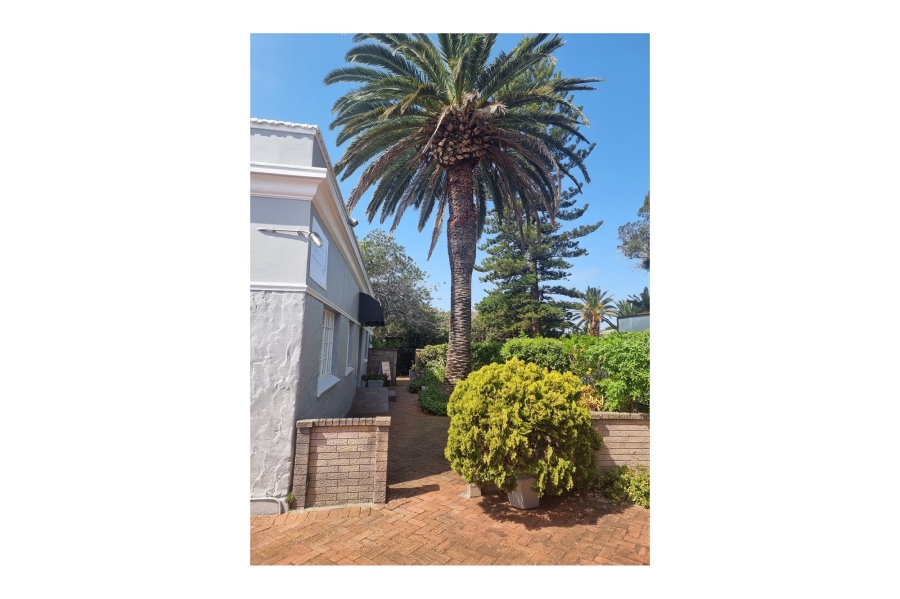 Commercial Property for Sale in Walmer Eastern Cape